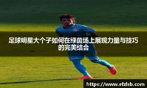 足球明星大个子如何在绿茵场上展现力量与技巧的完美结合